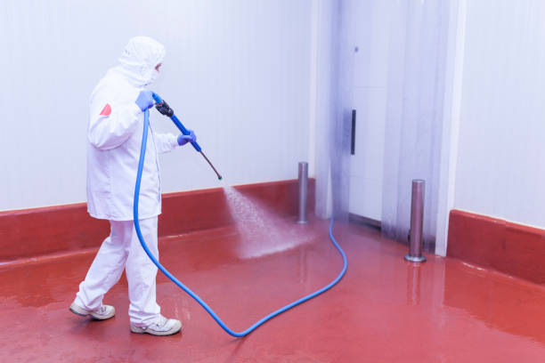 Best Pre-Holiday Cleaning  in Lockport, NY